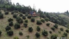 Finca Barbacoa  - Finca en Marinilla, Antioquia